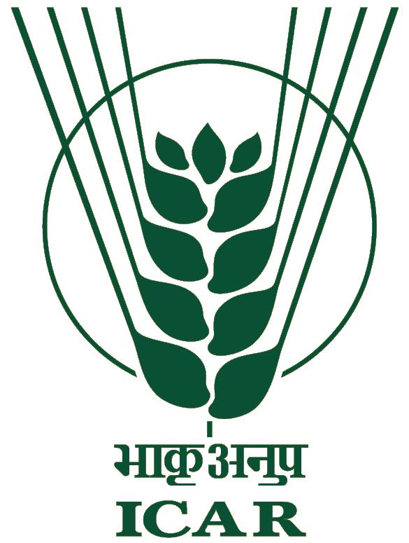 right logo